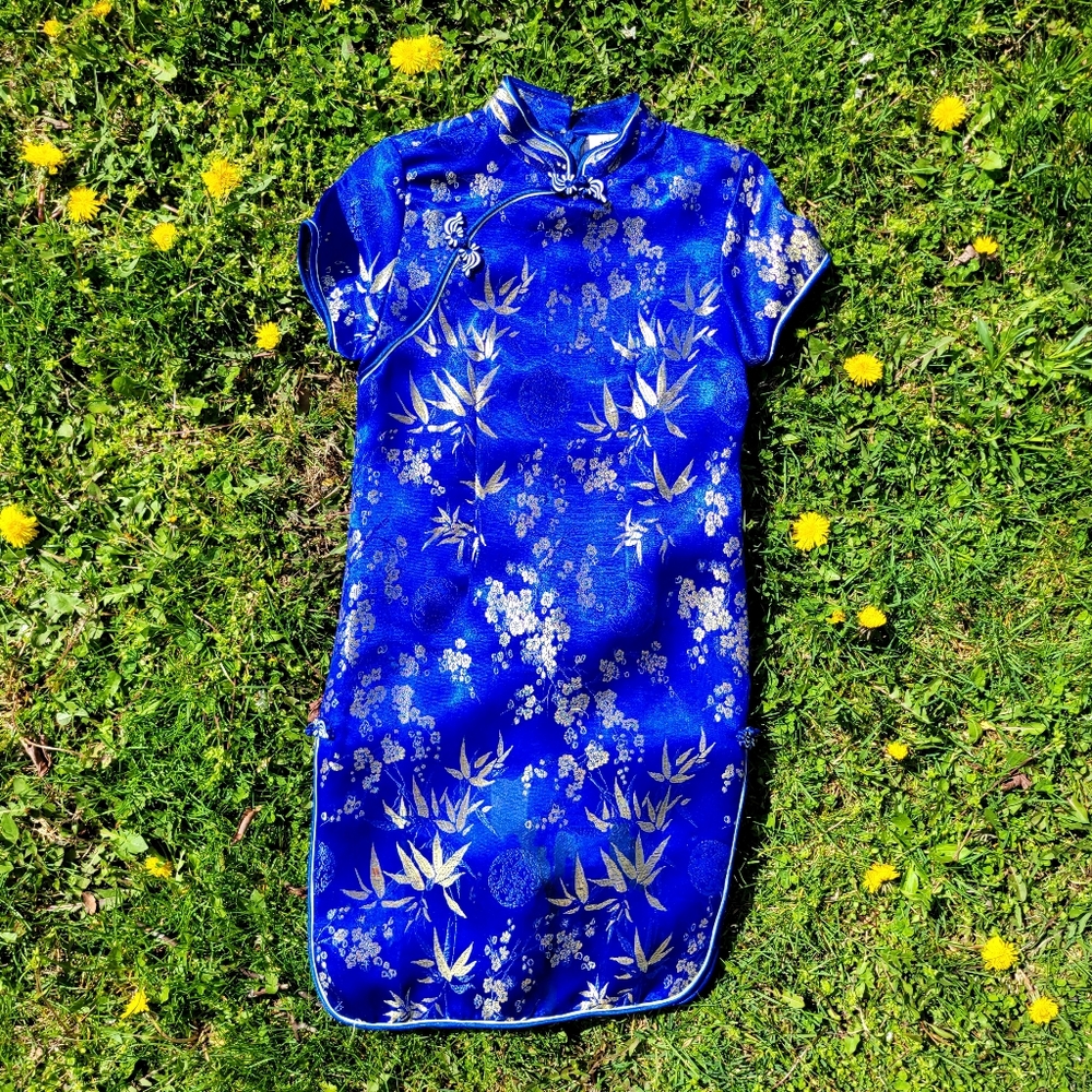Beautiful Blue & Gold Oriental Dress